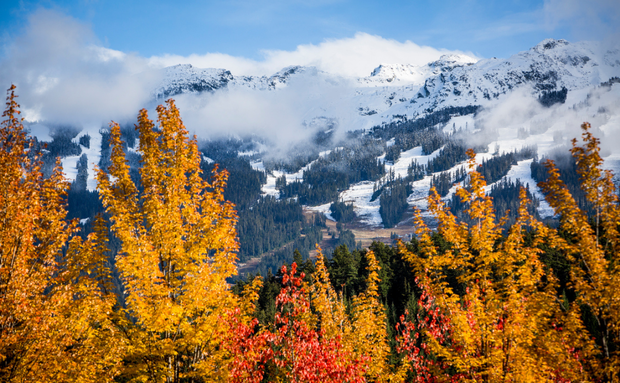 Whistler Fall Highlights, Whistler Blog Whistler Fall Highlights, Whistler Blog