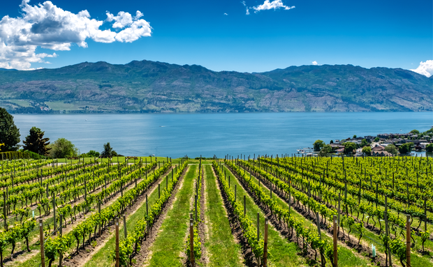 Vacation Rentals, Kelowna, British Columbia, Canada. Elevate Vacations