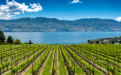Vacation Rentals, Kelowna, British Columbia, Canada. Elevate Vacations