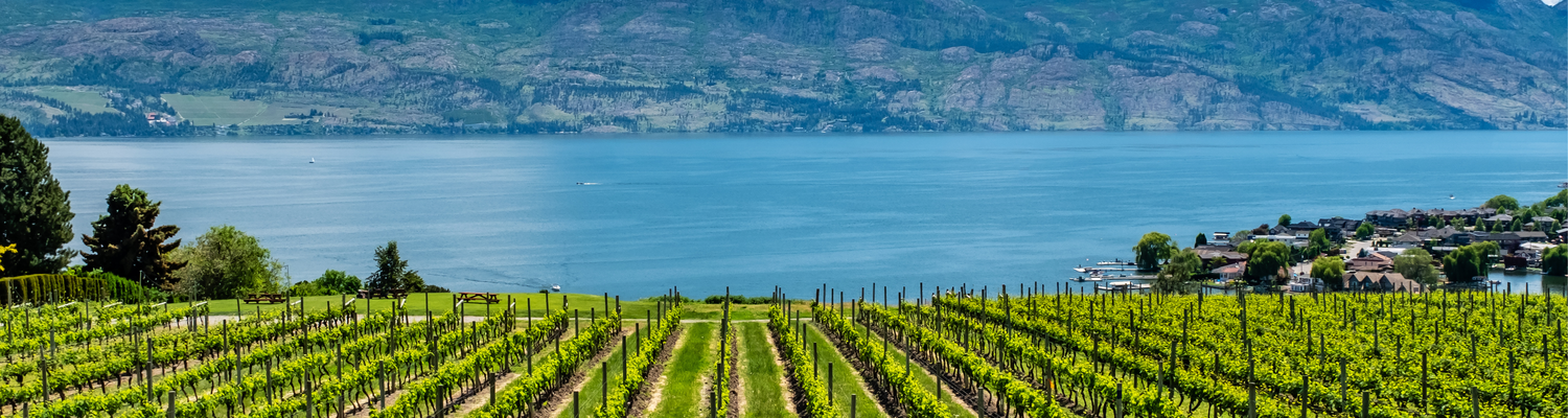 Vacation Rentals, Kelowna, British Columbia, Canada. Elevate Vacations