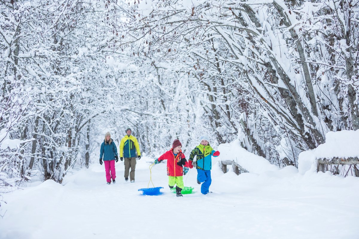 Whistler Blog, Whistler February Itinerary.