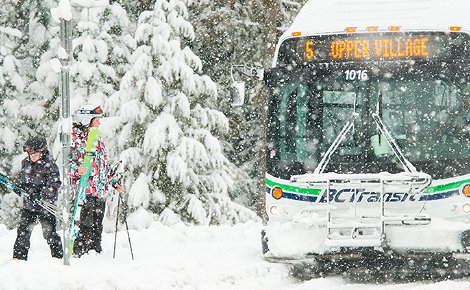 Whistler transit services Whistler transit services