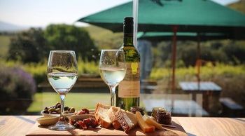 Wine tasting at stunning wine estates