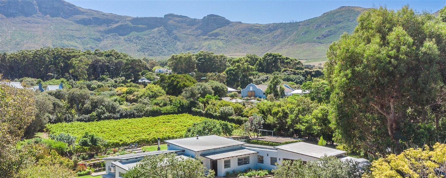 Aerial Vineyard & Mountain View