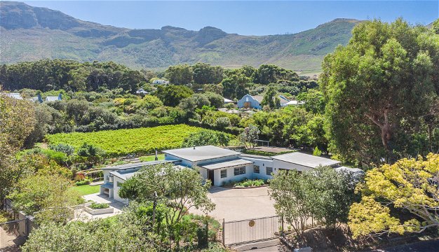 Aerial Vineyard & Mountain View