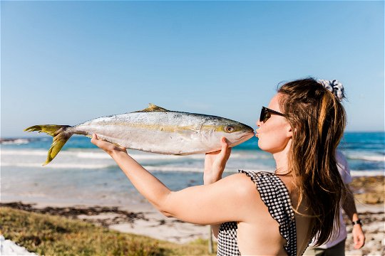 Fresh fish wild picnic coastal foraging 