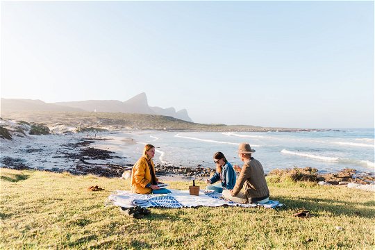 Wild Picnic at The Cape Of Good Hope