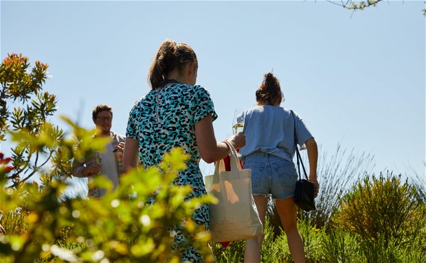 Wine tasting nature walk in the vines