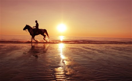 Horse Riding On The Beach To See A 120yr Old Shipwreck 