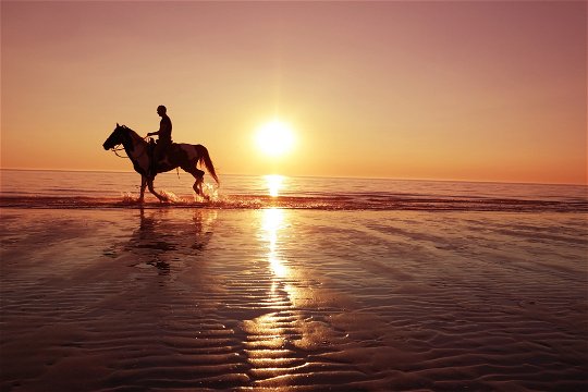 Horse Riding On The Beach To See A 120yr Old Shipwreck 