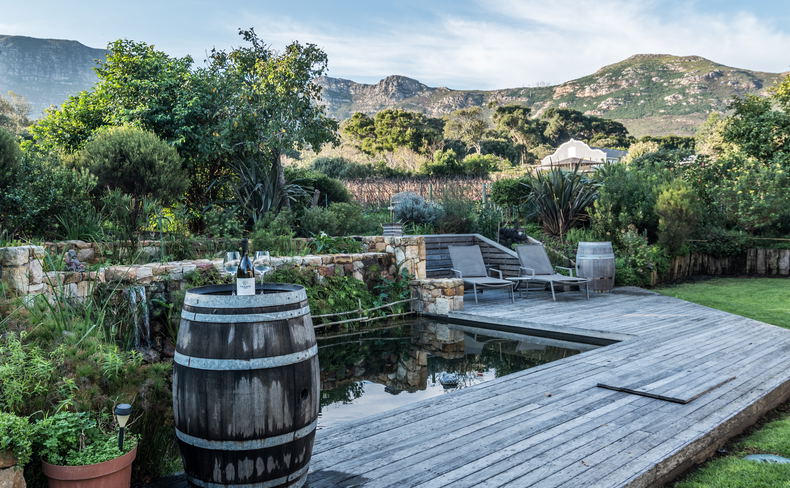 Boutique vineyard in noordhoek to rent Boutique vineyard in noordhoek to rent