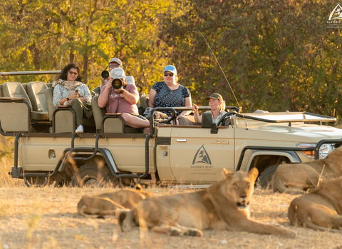 Private Safari
