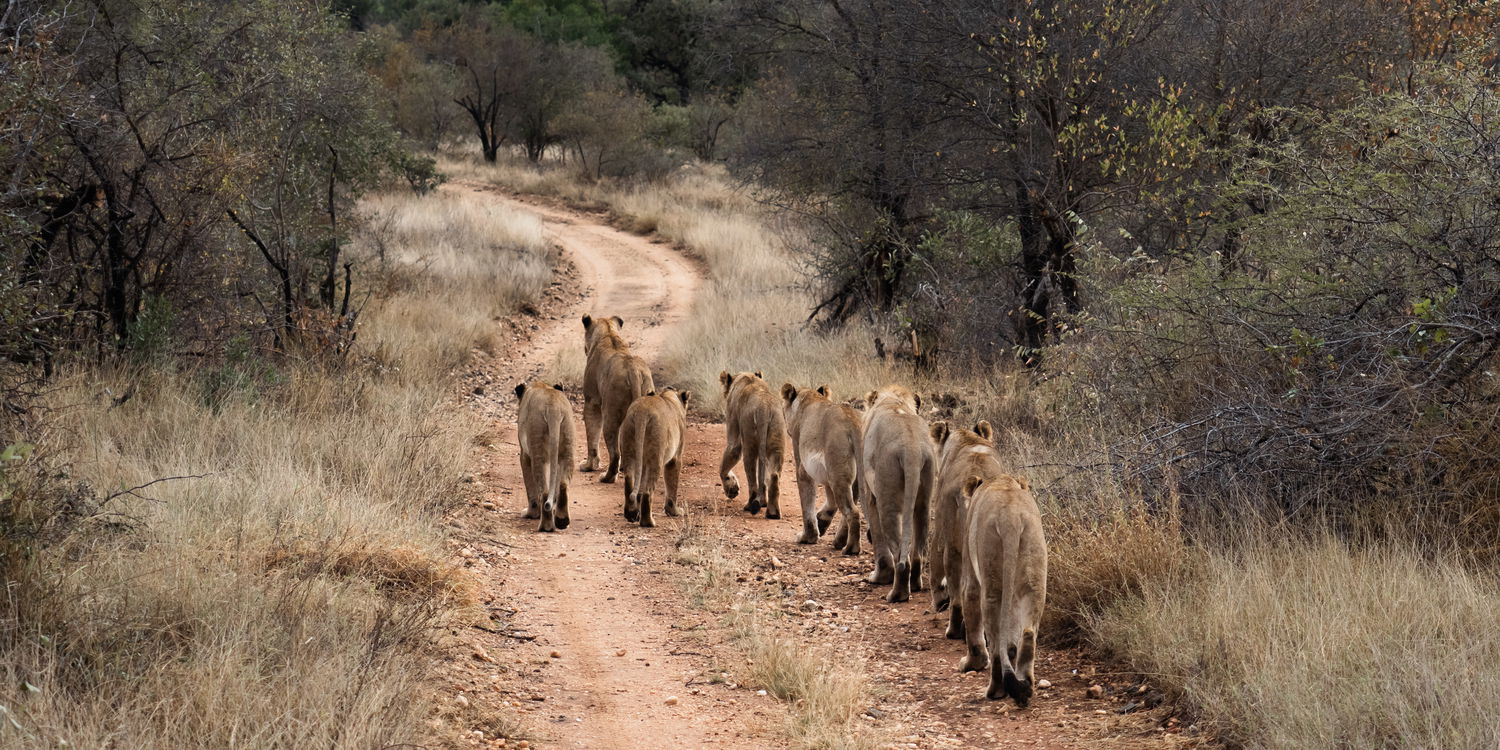 SA RESIDENTS ONLY: Access Your Private Savings Now!