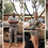 Ask Our Guides: Your African Wildlife Questions Answered