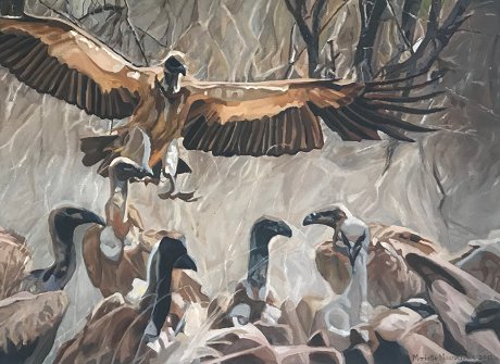 Vulture painting