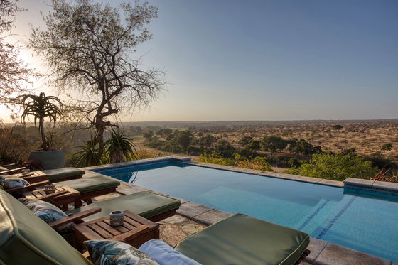 Infinity pool with a view over the klaserie river at misava safari camp