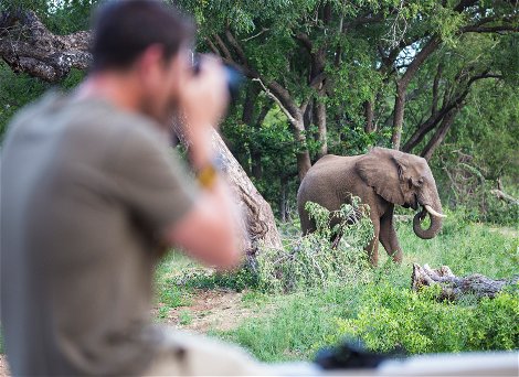 Man taking photo of elephant on safari game drive at Klaserie Drift Man taking photo of elephant on safari game drive at Klaserie Drift