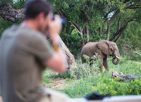 Man taking photo of elephant on safari game drive at Klaserie Drift