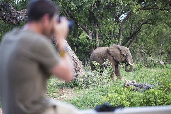 Man taking photo of elephant on safari game drive at Klaserie Drift