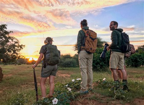 Walking safari at sunset Klaserie Drift