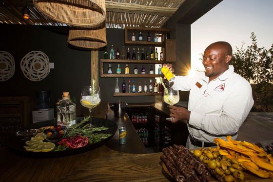 Tripadvisor guest feedback 5 star safari in Kruger National Park