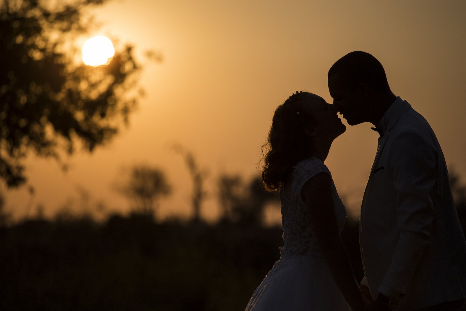 Honeymoon Safari