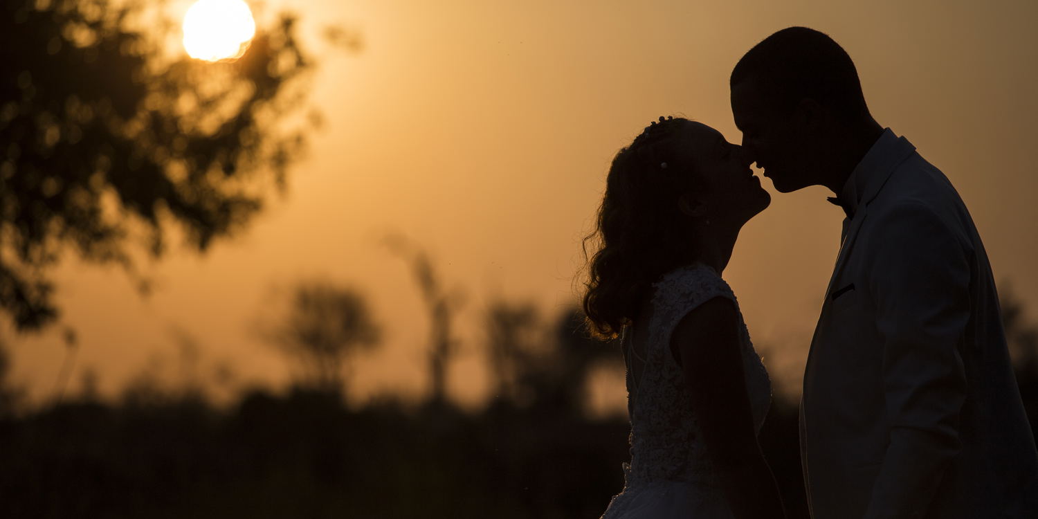 Honeymoon Safari