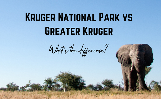 Kruger National Park vs Greater Kruger Kruger National Park vs Greater Kruger