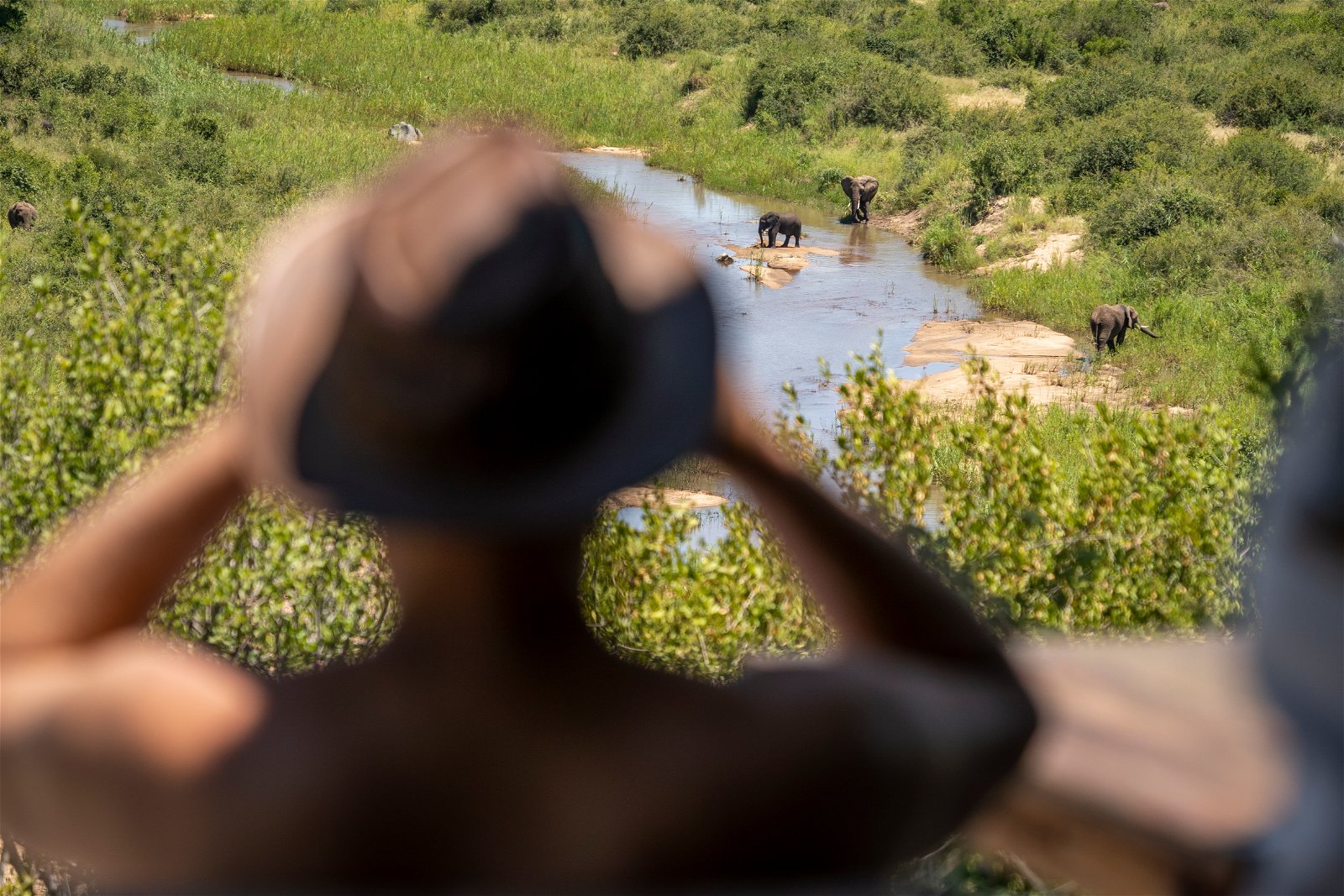 viewing deck with elephant and big 5