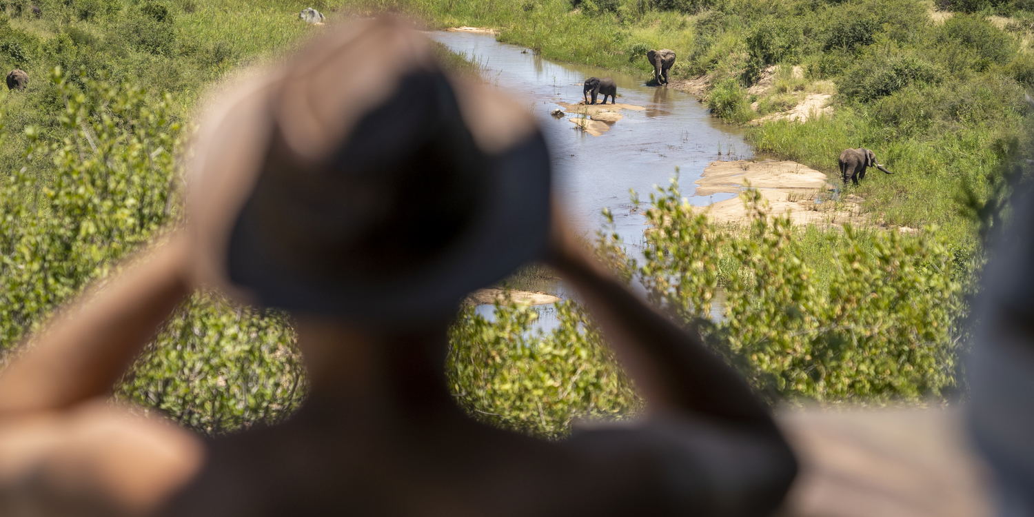 viewing deck with elephant and big 5