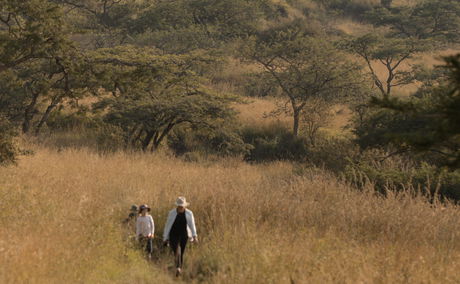 Nature Walking at Three Tree Hill