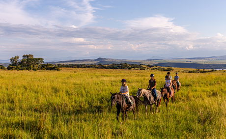 Horse Trail Riding in the Drakensberg