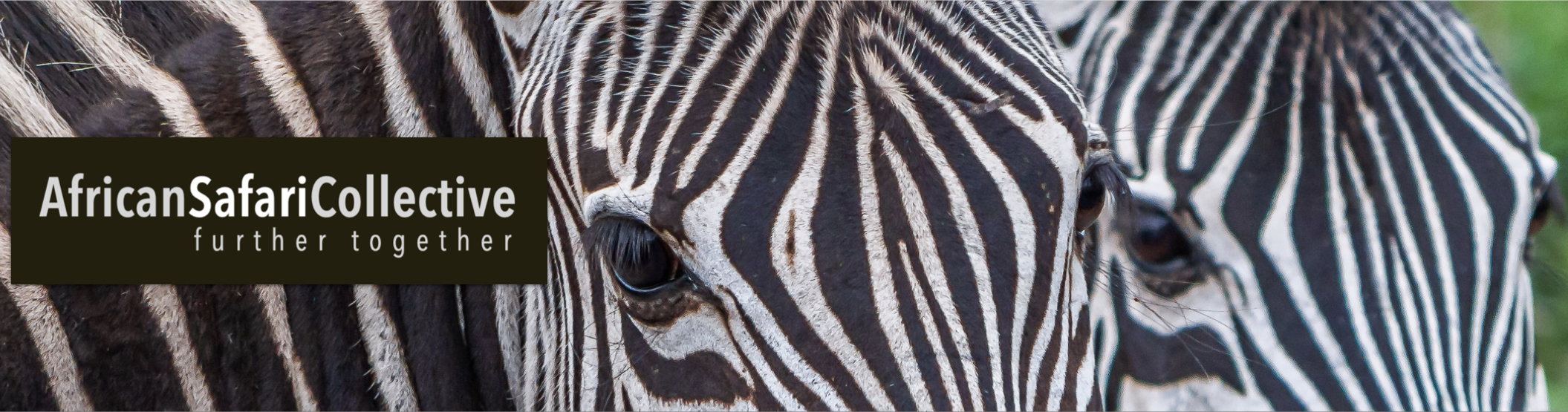 African Safari Collective