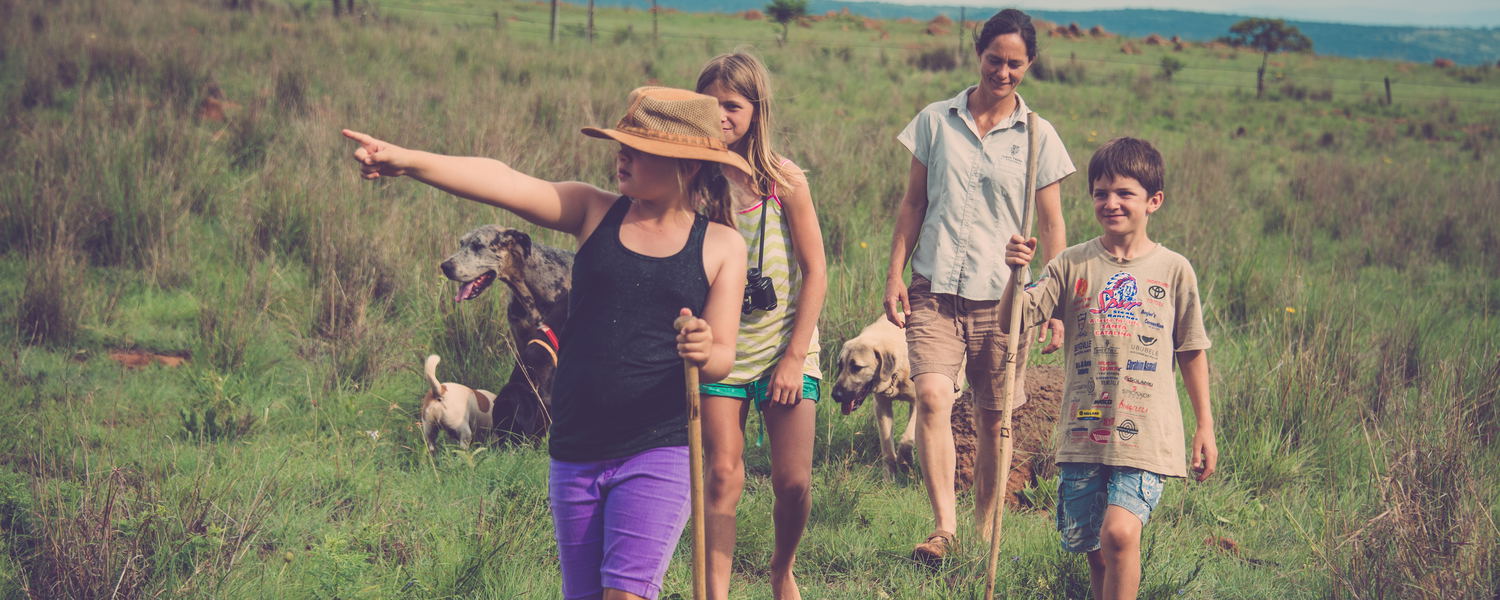 Free Range Children at Three Tree Hill