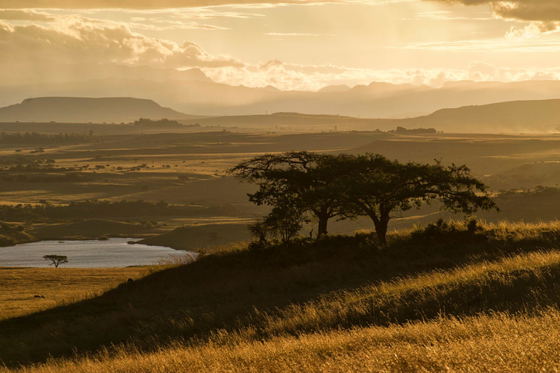 #SunsetDrakensberg #KZN #Spionkop #ThreeTreeHill #SpecialOffer