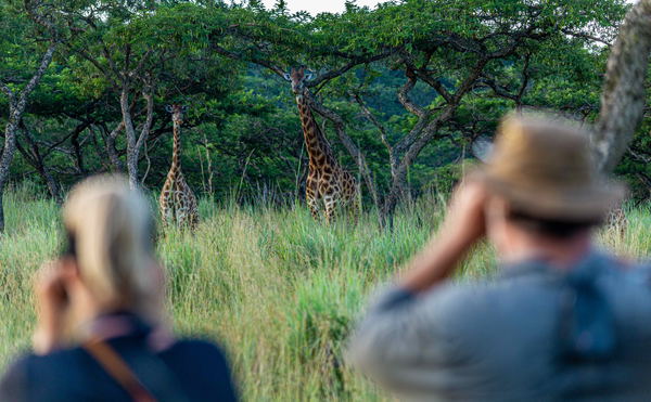On-site Guided Experiences