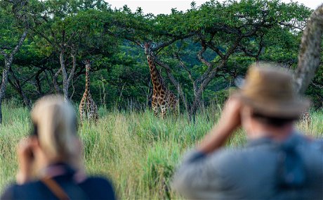 game walk in the spioenkop reserve