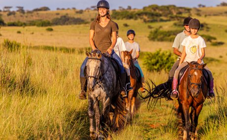 #pferde #horsesafari #horsetrailriding #horses #pferde #horsesafari #horsetrailriding #horses