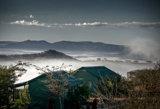 St Patricks Day weekend special at Three Tree Hill lodges