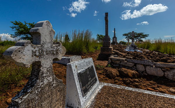 Battlefield Tours at Three Tree Hill