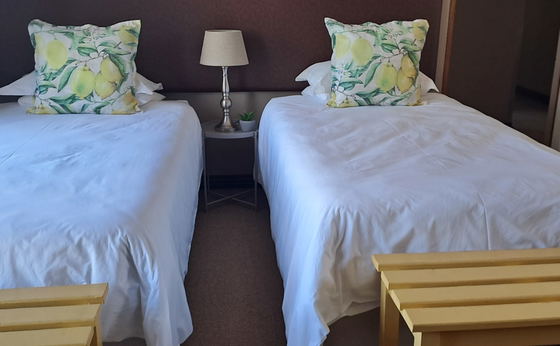 Room 1 - Standard Twin Room